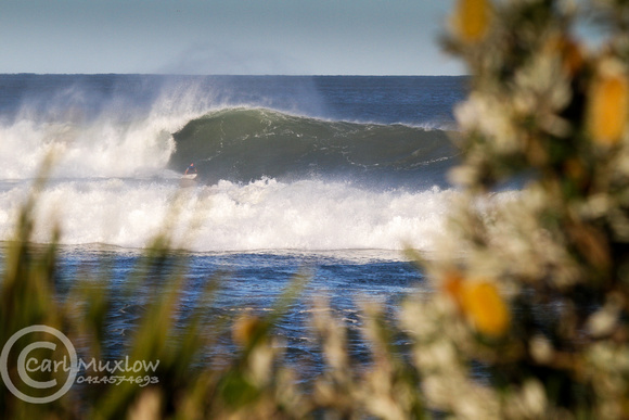 Wallabi Reef