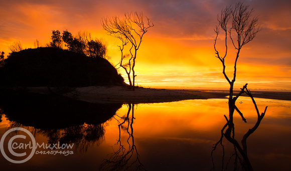 Badgers Sunrise